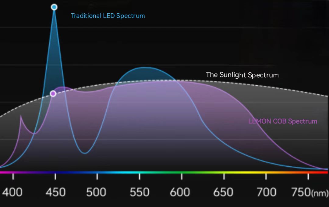 COB LED STRIP SPECTRUM