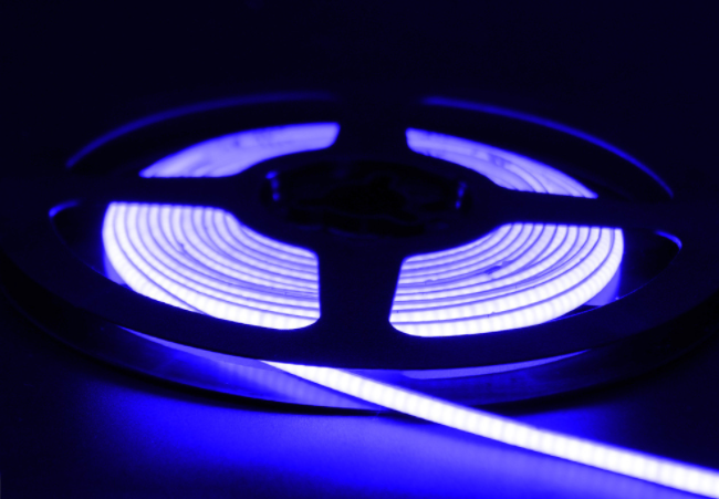 Reel to Reel COB Blue LED Strips