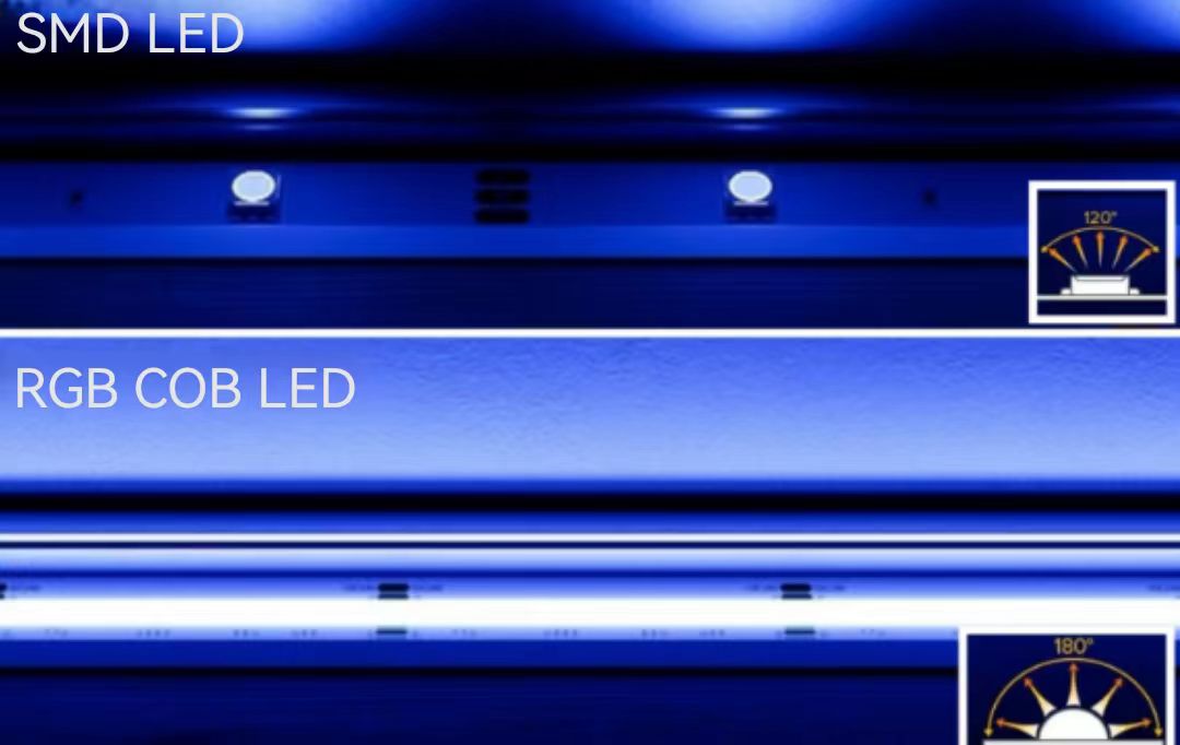 10mm LED Strip Beam Angle